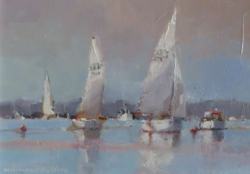 In the Shallows